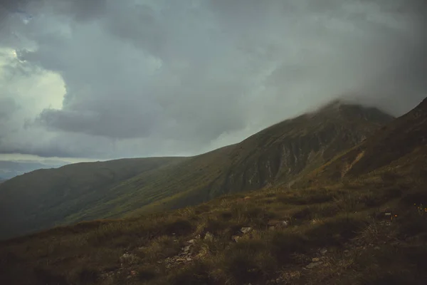 Paisaje Verano Las Montañas Cárpatas — Foto de Stock