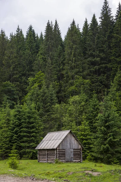 Viejas Casas Madera Bosque Los Cárpatos — Foto de Stock