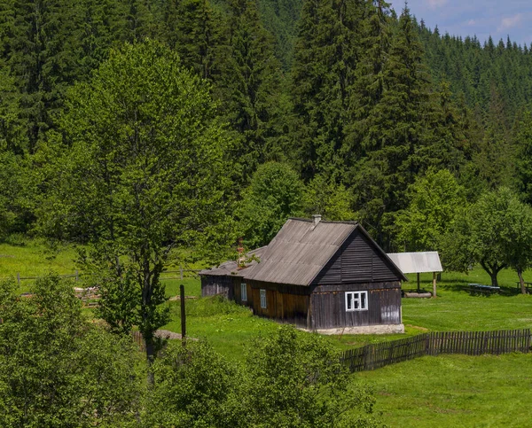 Houten Huizen Het Karpaten Bos Oekraïne — Stockfoto