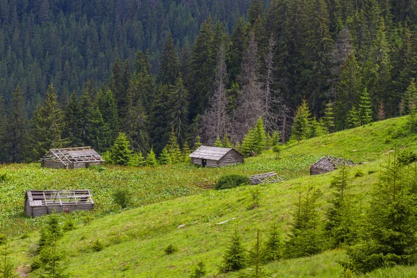 Staré Zničené Dřevěné Domy Karpatském Lese — Stock fotografie