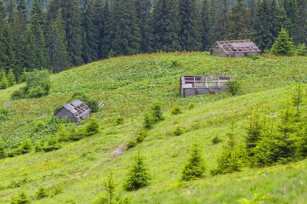 Old Ruined Wooden Houses Carpathians Forest — Stock Photo, Image