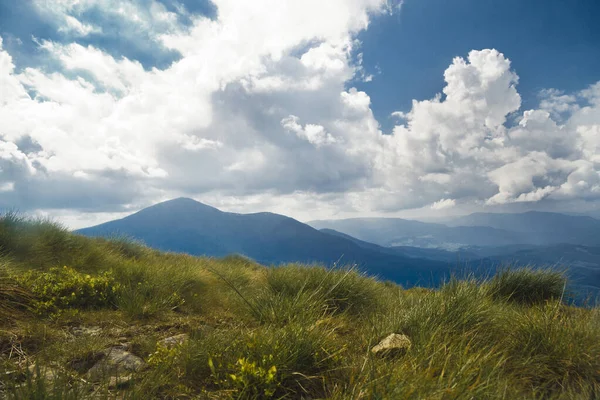 카르파티아 산맥의 — 스톡 사진