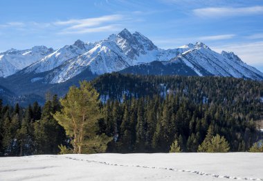 Güzel panoramik bir dağ manzarası. Rusya, Karachay-Çerkesya, Arkhyz