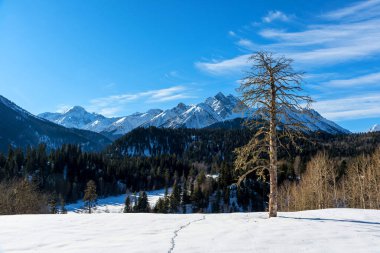 Dağların güzel panoramik manzarası. Rusya, Karachay-Çerkesya, Arkhyz