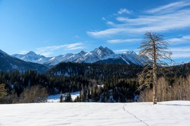 Dağların güzel panoramik manzarası. Arkhyz, Karachay-Çerkessia