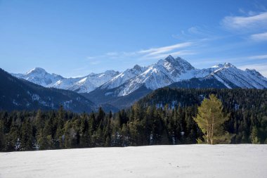 Güzel kış manzarası. Arkhyz, Karachay-Çerkessia