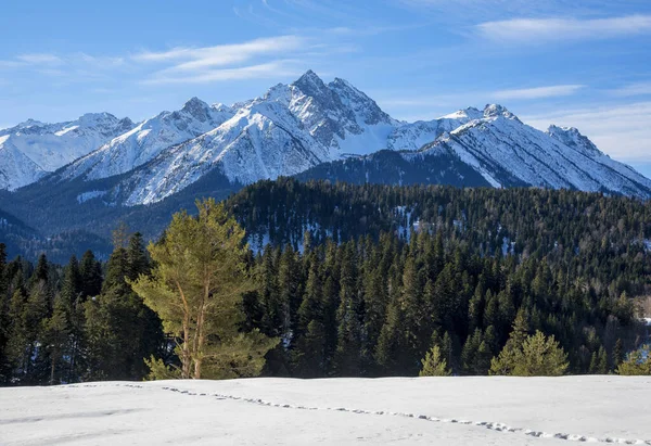 山々の美しいパノラマビュー ロシア Karachay Cherkessia Arkhyz — ストック写真