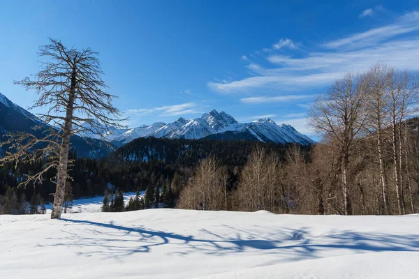 Güzel Kış Manzarası Arkhyz Karachay Çerkessia — Stok fotoğraf