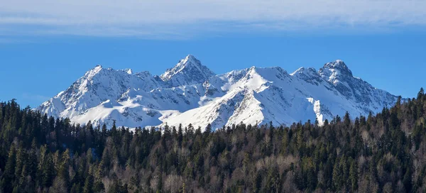 Belle Vue Panoramique Sur Les Montagnes Arkhyz Karachay Tcherkessie — Photo