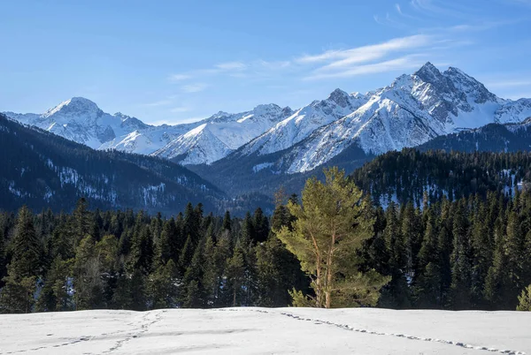 Bela Vista Panorâmica Das Montanhas Rússia Karachay Cherkessia Arkhyz — Fotografia de Stock