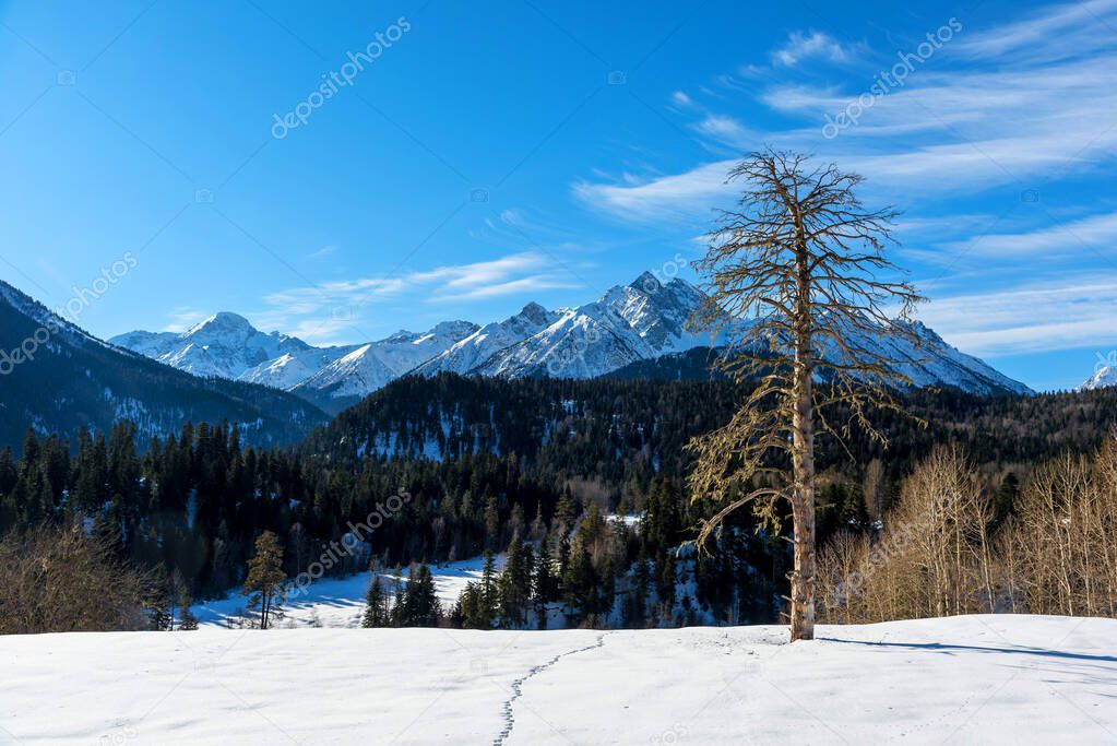 Beautiful panoramic view of the mountains. Russia, Karachay-Cherkessia, Arkhyz