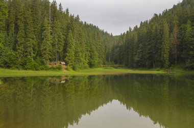 Synevyr Dağı Gölü. Karpatlar Dağları, Ukrayna