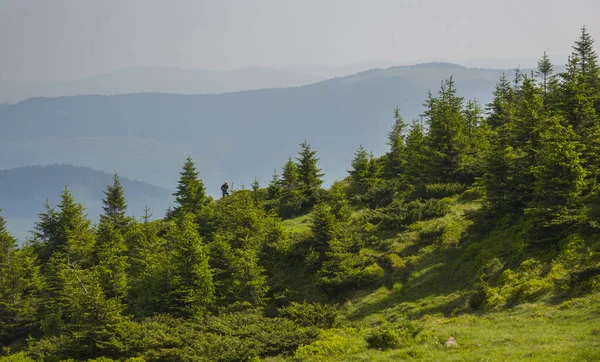 Paisaje Verano Las Montañas Los Cárpatos Ucrania — Foto de Stock