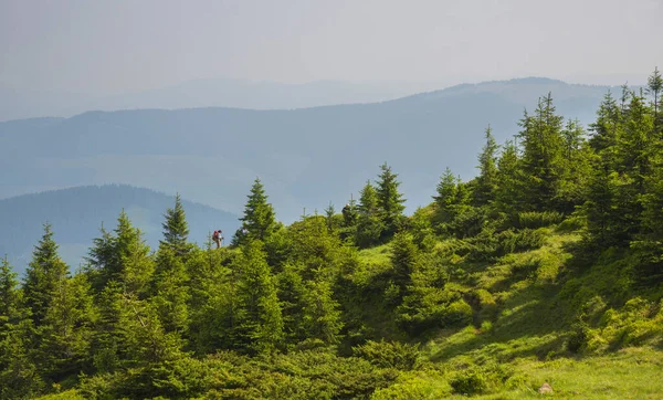 Paesaggio Estivo Nelle Montagne Dei Carpazi Ucraina — Foto Stock