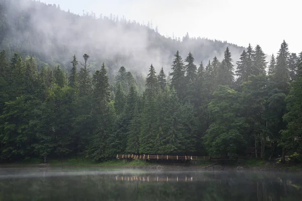 Mañana Brumosa Lago Synevyr Cárpatos Montañas Ucrania — Foto de Stock