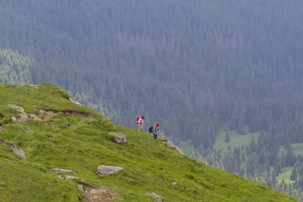 Turistler Dağın Tepesinden Karpatlar Dan Geliyorlar — Stok fotoğraf