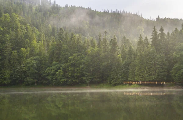 Mglisty Poranek Nad Jeziorem Synevyr Karpaty Ukraina — Zdjęcie stockowe