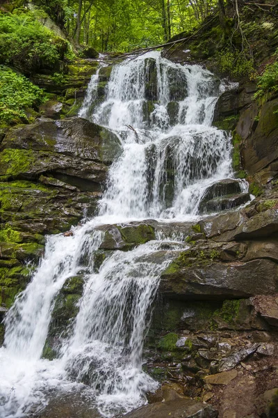Carpathian Dağları 'ndaki Şelale Şelalesi. Pypet köyü yakınlarında. Transcarpathian.
