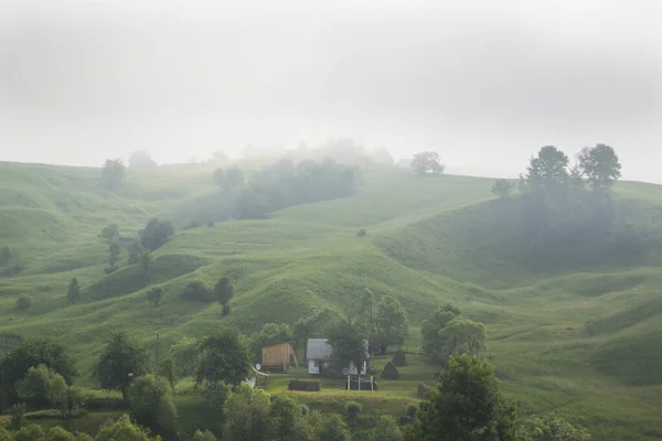 Beautiful Foggy Summer Morning Transcarpathian Western Ukraine Europe — Stock Photo, Image