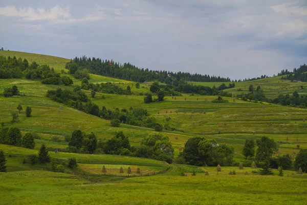 Paesaggio Estivo Nelle Montagne Dei Carpazi Ucraina — Foto Stock