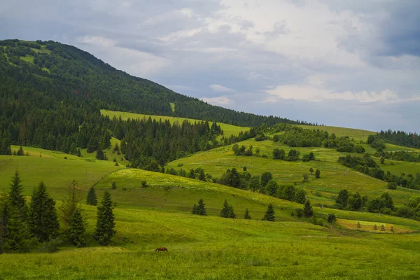 Krásná Letní Krajina Zakarpatská Západní Ukrajina Evropa — Stock fotografie