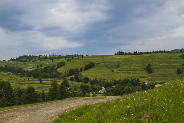 Beautiful Summer Landscape Transcarpathian Western Ukraine Europe — Stock Photo, Image