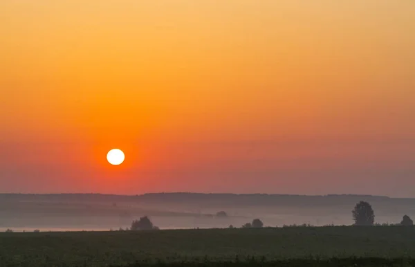 Beautiful Sunrise Field Summer Morning — Stock Photo, Image