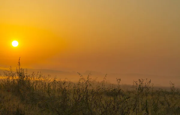 Prachtige Zonsopgang Het Veld Een Zomerochtend — Stockfoto