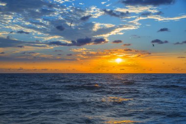 Deniz sahilinde parlak mavi ve pembe gündoğumu gökyüzü. Odessa, Ukrayna