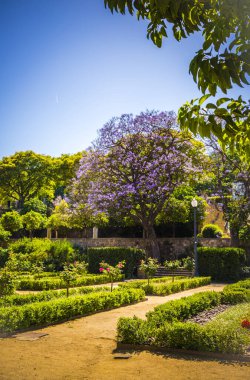 Barcelona 'da güzel bir park. Yaz günü, İspanya