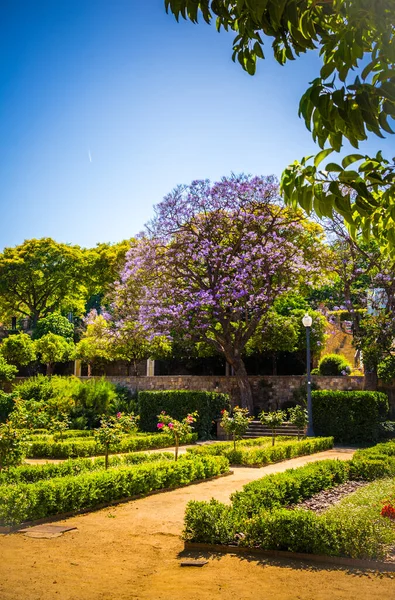 Belo Parque Cidade Barcelona Dia Verão Espanha — Fotografia de Stock