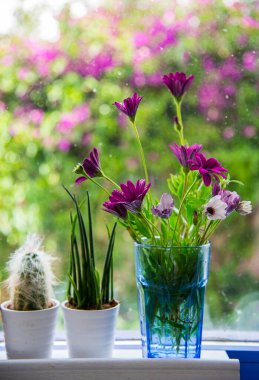 Pencere kenarındaki vazoda güzel çiçekler