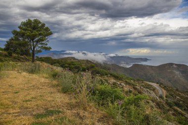 Güzel bir yaz manzarası, Akdeniz manzarası. İspanya 'da Katalonya