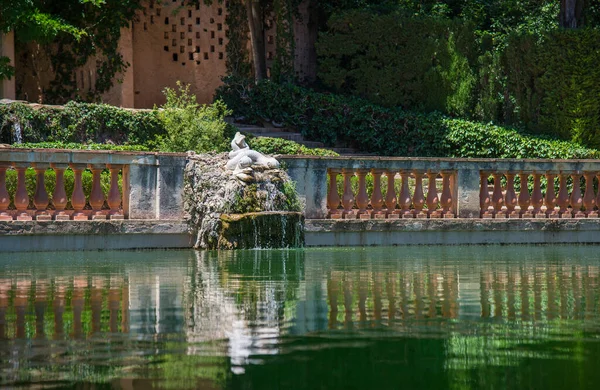 Barcelona Catalonia Spain June 2017 Pond Park Parc Del Laberint — Stock Photo, Image