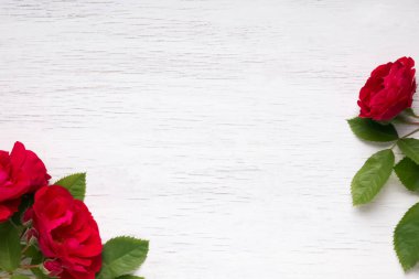 Beyaz ahşap arka plan üzerinde kırmızı gül
