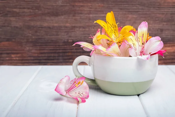 Flores de alstromeria coloridas no copo — Fotografia de Stock