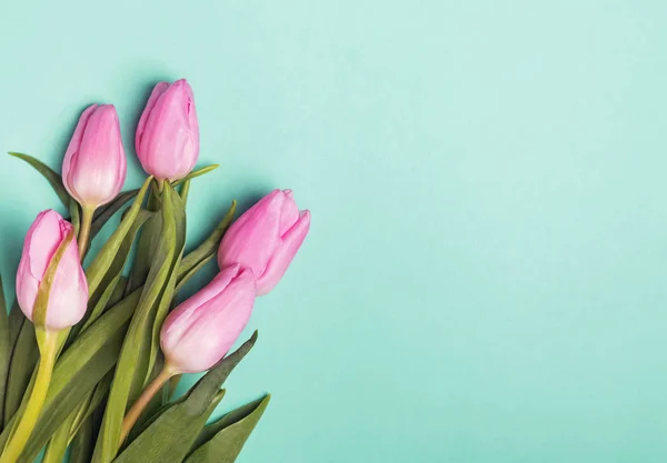 Malé růžové tulipány na pastelově zelené pozadí — Stock fotografie
