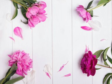 Pembe peonies ve yaprakları Beyaz ahşap zemin üzerinde