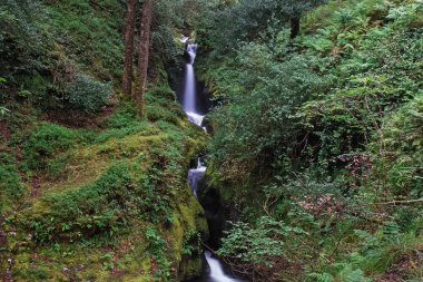 Güzel küçük şelale 