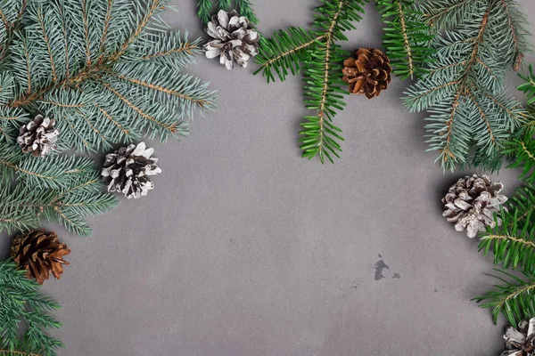 Modèle de Noël avec branches de sapin et cônes de pin — Photo