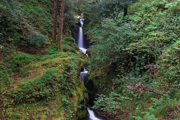 Güzel küçük şelale 