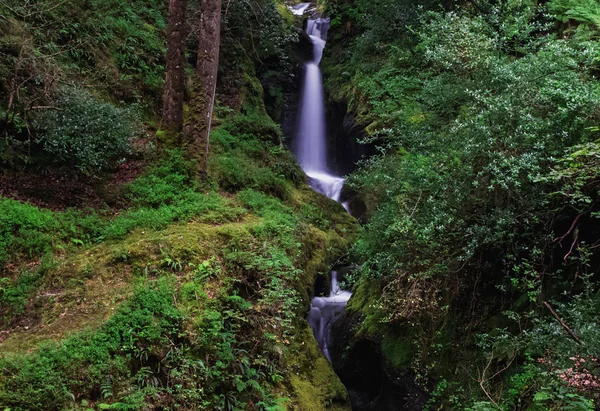 Glendalough lake yakınındaki güzel şelale