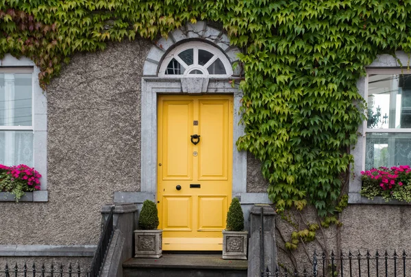 Niedliche gelbe Eingangstür in einem mit Efeu geflochtenen Haus — Stockfoto