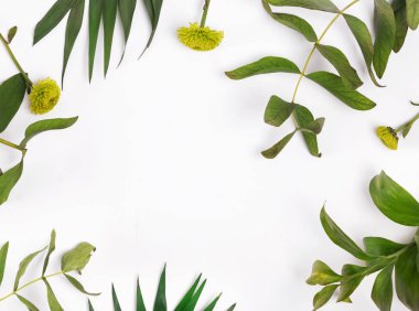 Yaprakları ve çerçeve şekli üzerinde düzenlenmiş bitkiler