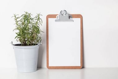 Biberiye pot ve Pano boş kağıt ile.