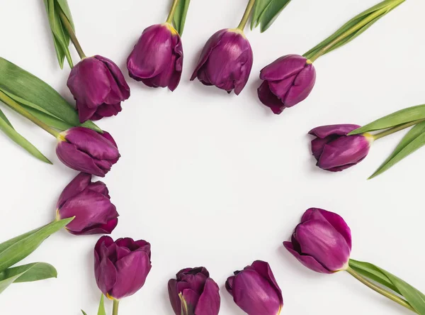 Körben lila tulipán — Stock Fotó