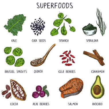 Elle çizilmiş superfoods.