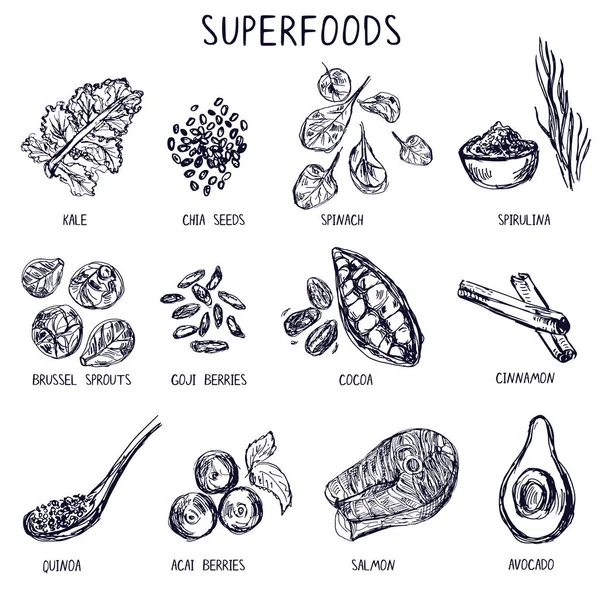Set of hand drawn superfoods. — Stock Vector