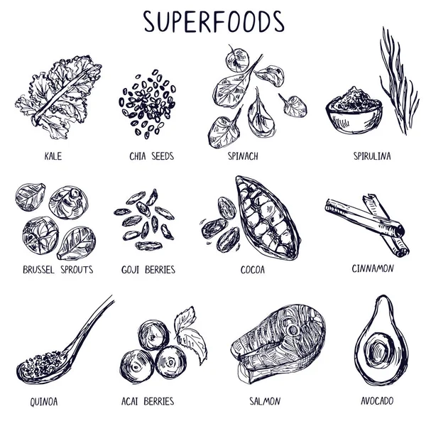 Elle çizilmiş superfoods kümesi.