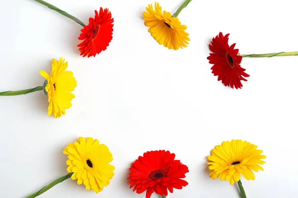 Kırmızı ve sarı renkli Gerbera çiçekleri daire şeklinde dizilmiş. — Stok fotoğraf